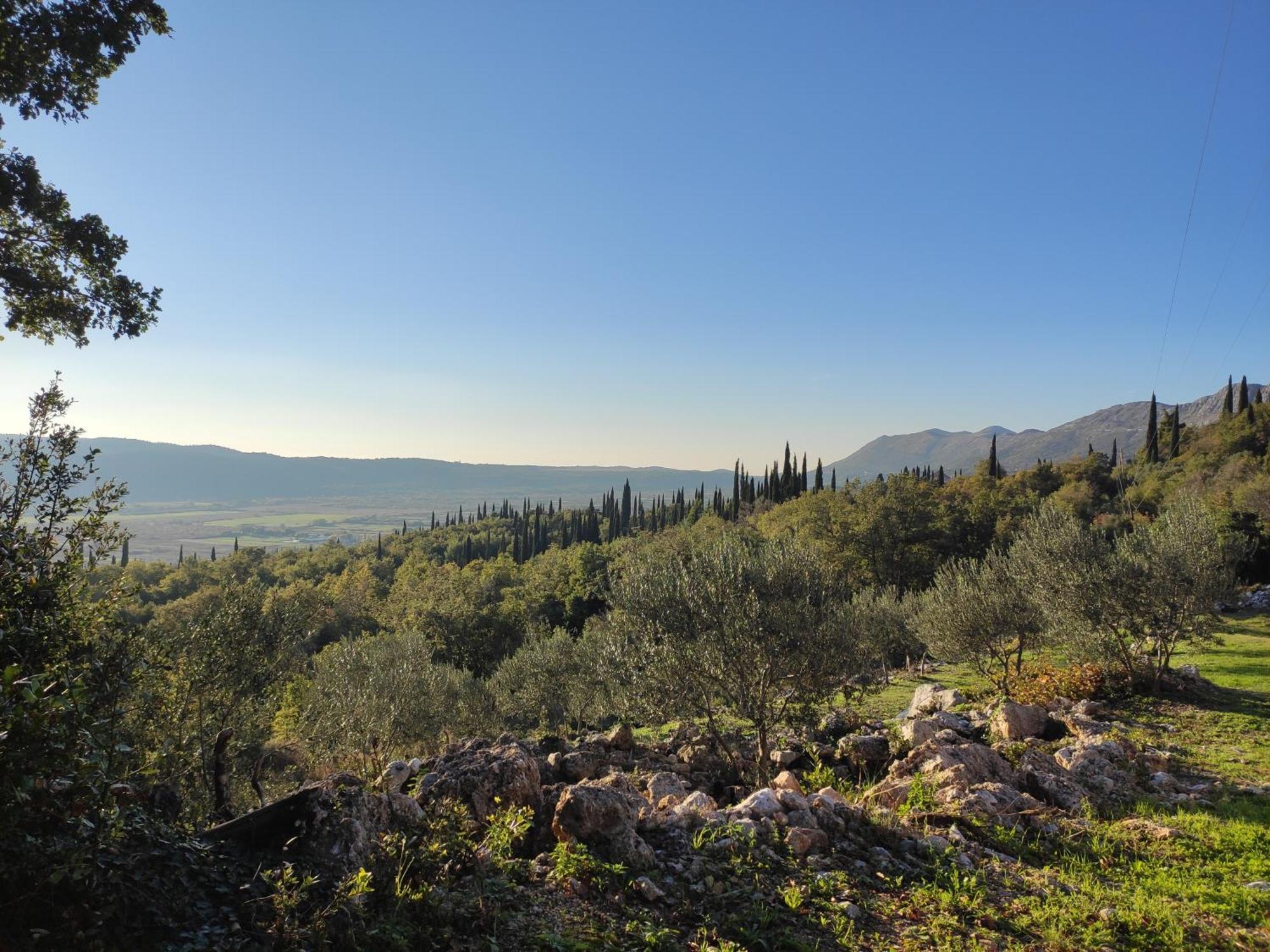 Country House Uros In Nature With Pool Lovorno Esterno foto