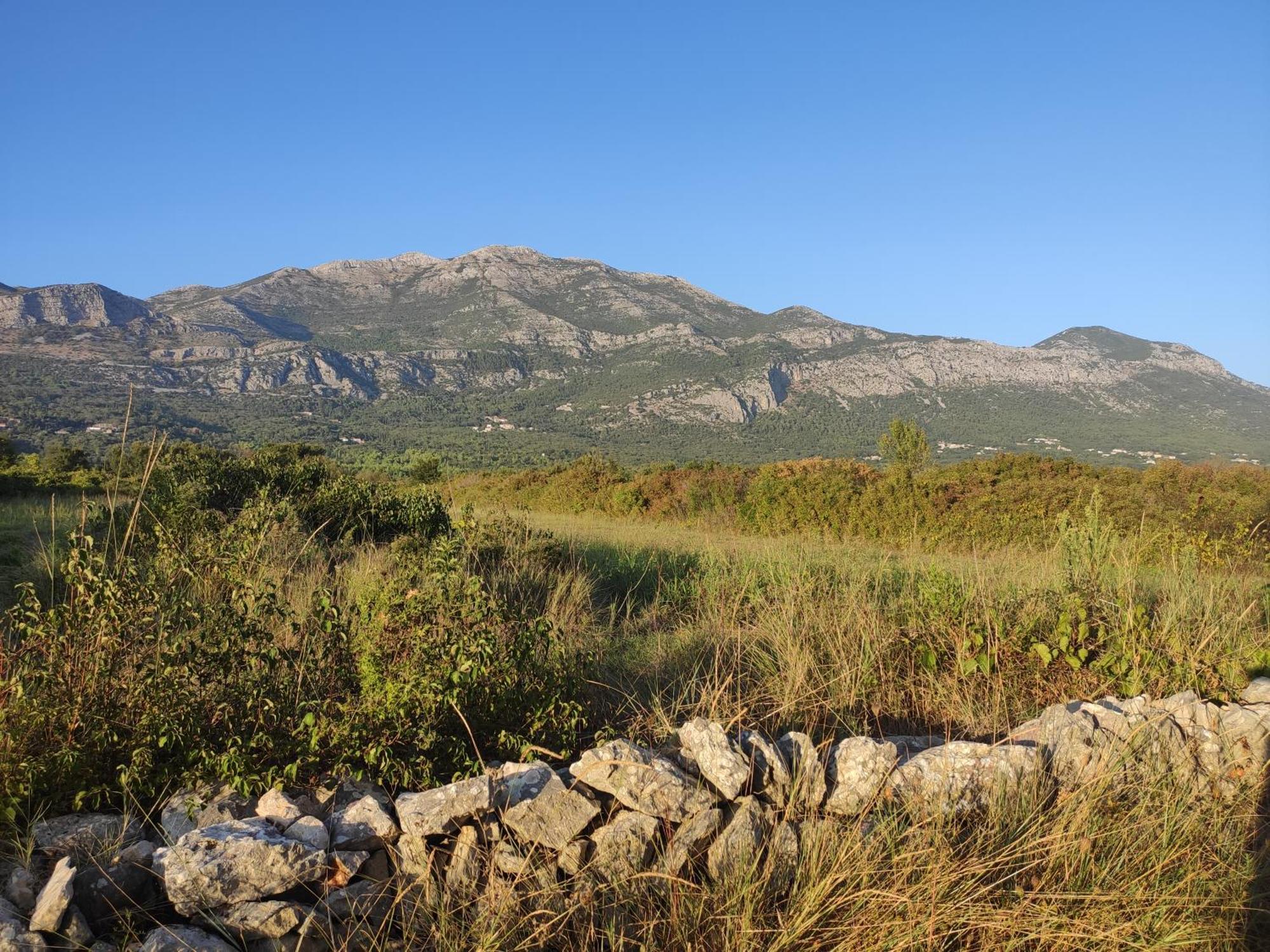 Country House Uros In Nature With Pool Lovorno Esterno foto