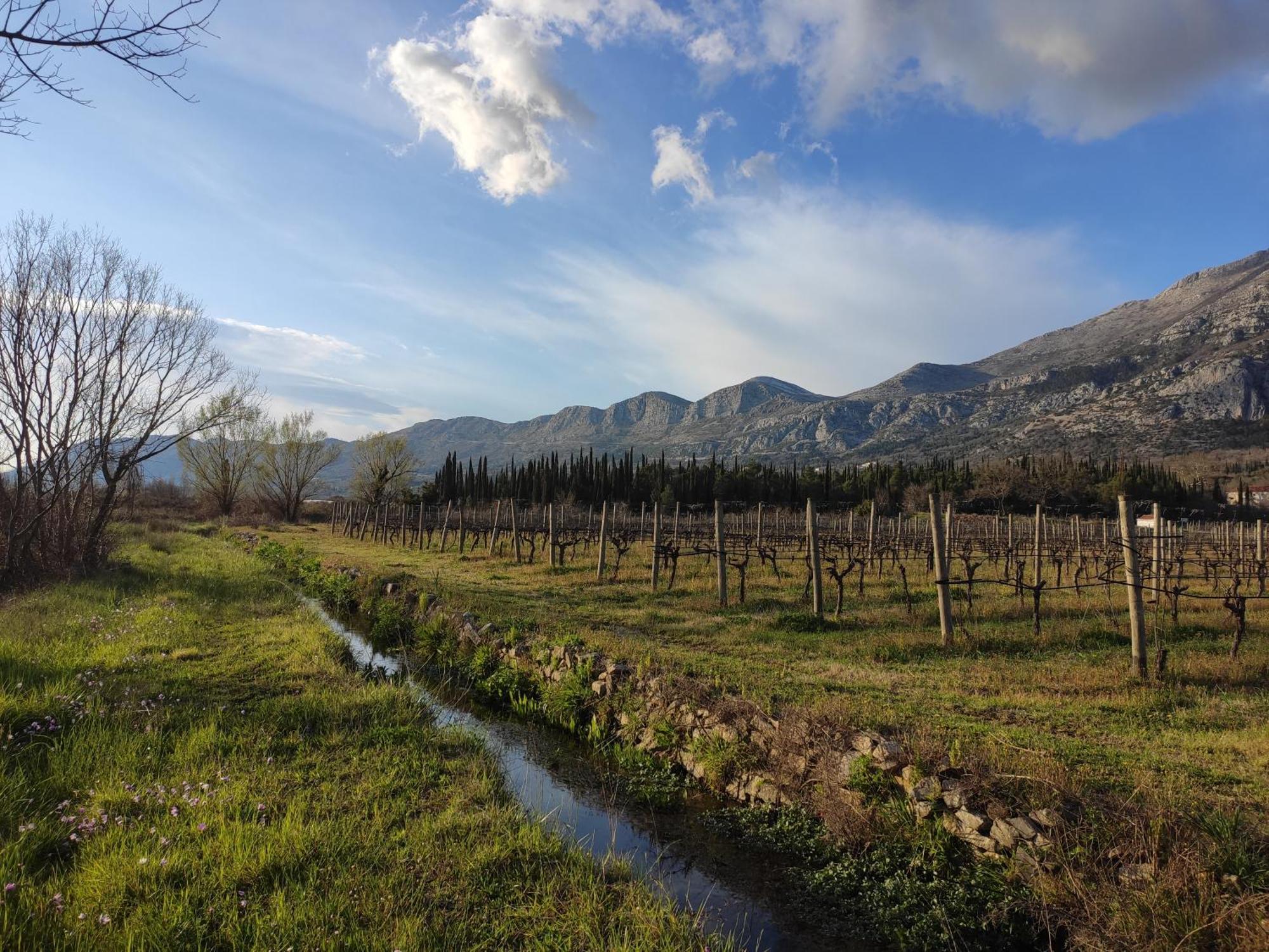 Country House Uros In Nature With Pool Lovorno Esterno foto
