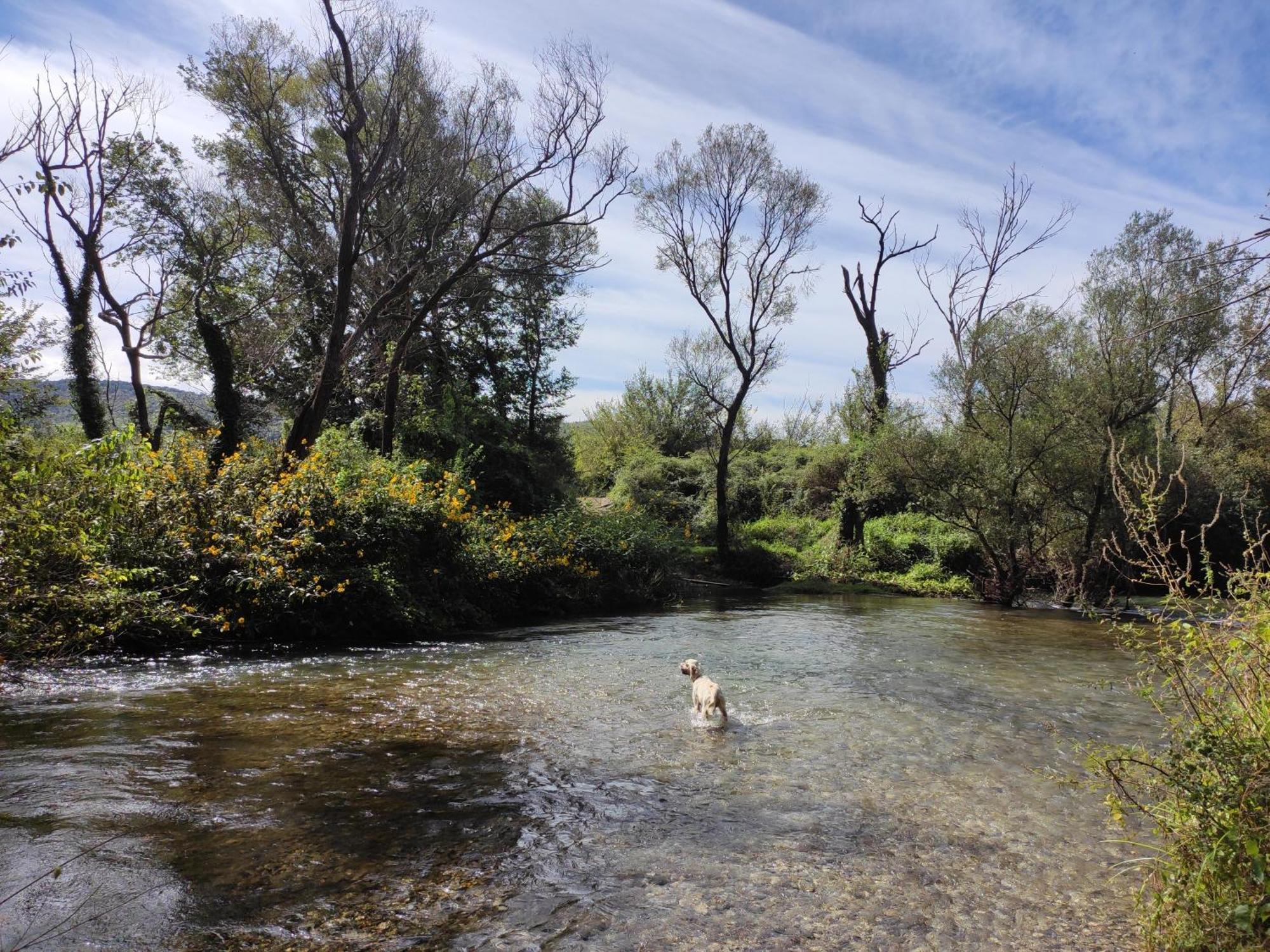 Country House Uros In Nature With Pool Lovorno Esterno foto